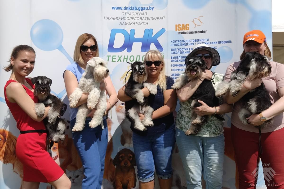 Международная выставка собак CACIB International dog show